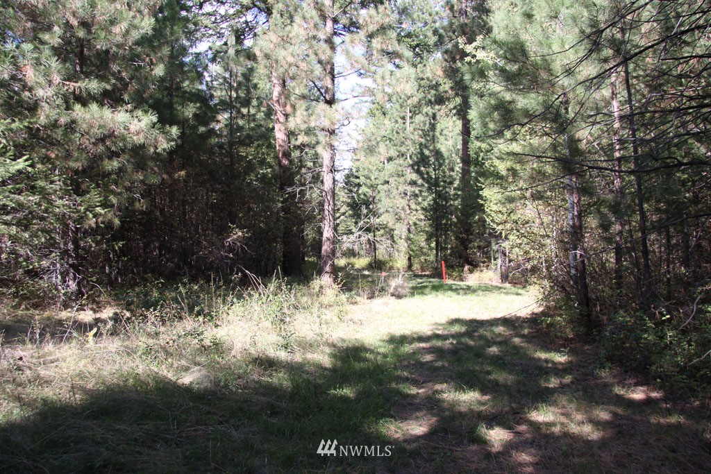 1 Methow Ranch Road Winthrop, WA 98862 - Photo 19 of 25 Gallery Image 19