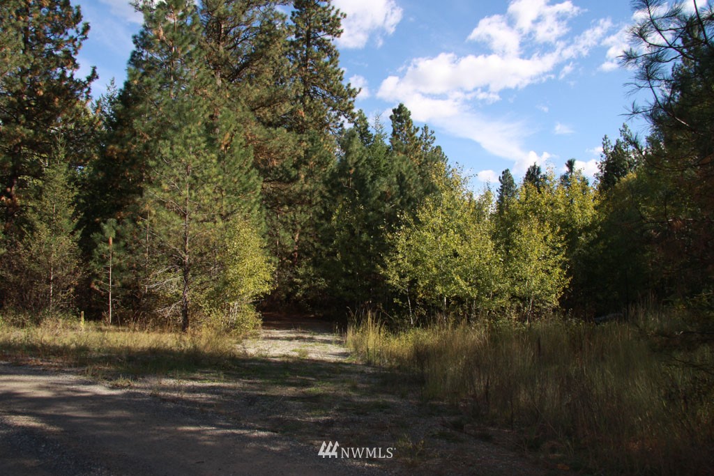 1 Methow Ranch Road Winthrop, WA 98862 - Photo 4 of 25 Gallery Image 4