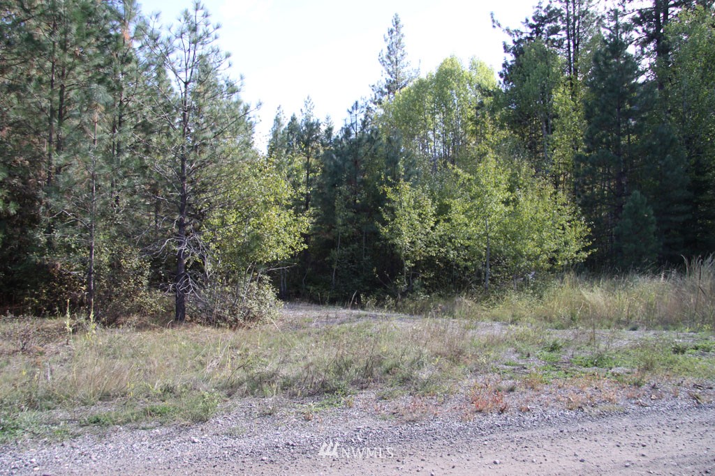 1 Methow Ranch Road Winthrop, WA 98862 - Photo 9 of 25 Gallery Image 9