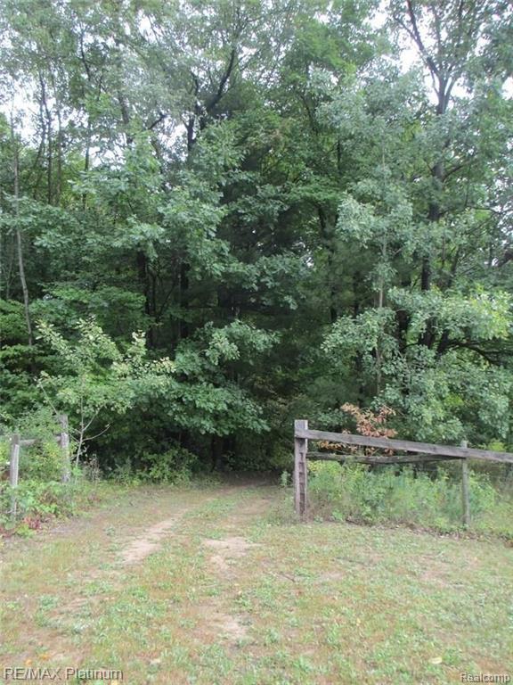 14416 Tuscola Road Clio, MI 48420 - Photo 59 of 85