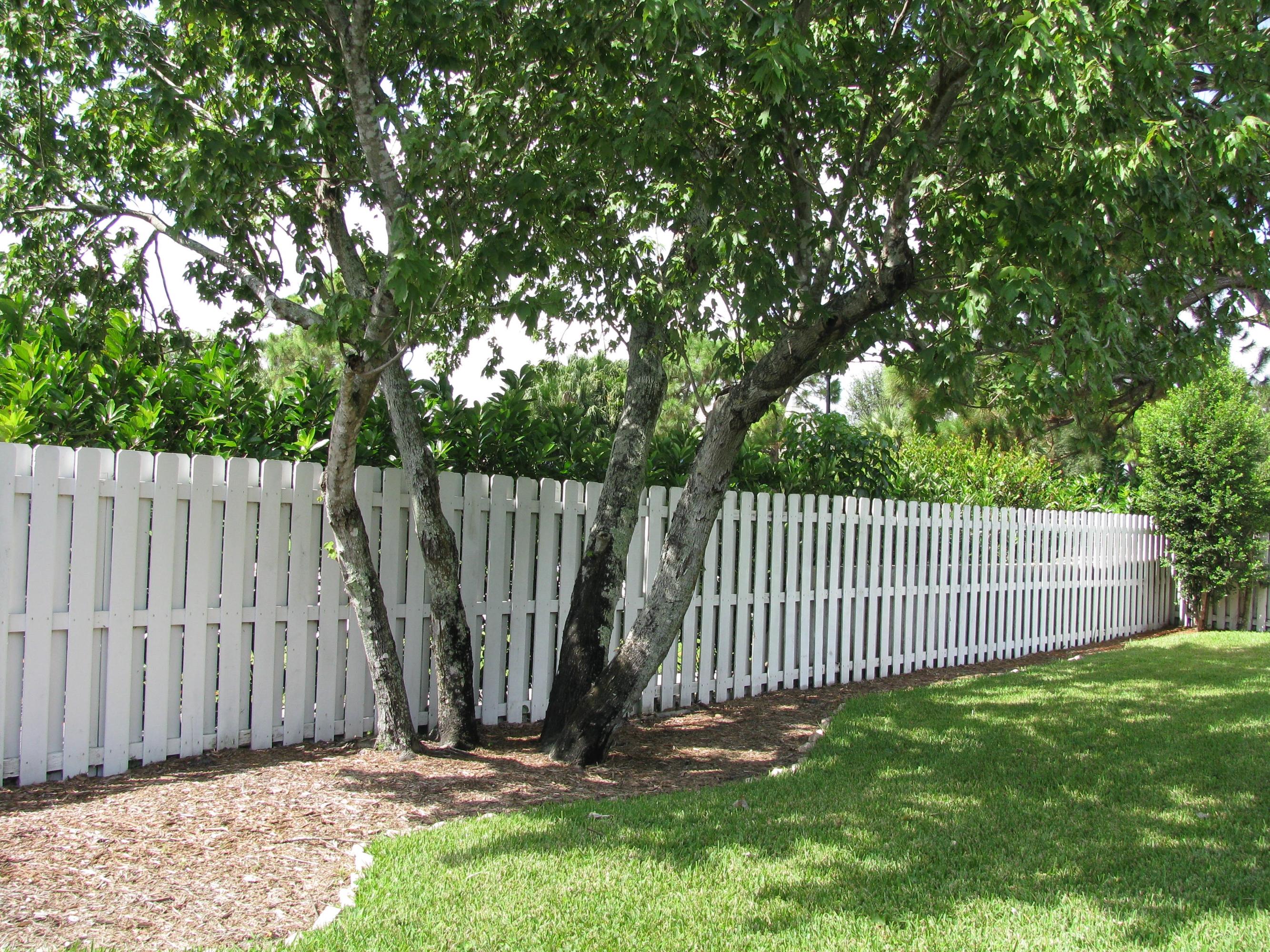 204 Colony Way West Jupiter, FL 33458 - Photo 22 of 44 Fenced yard