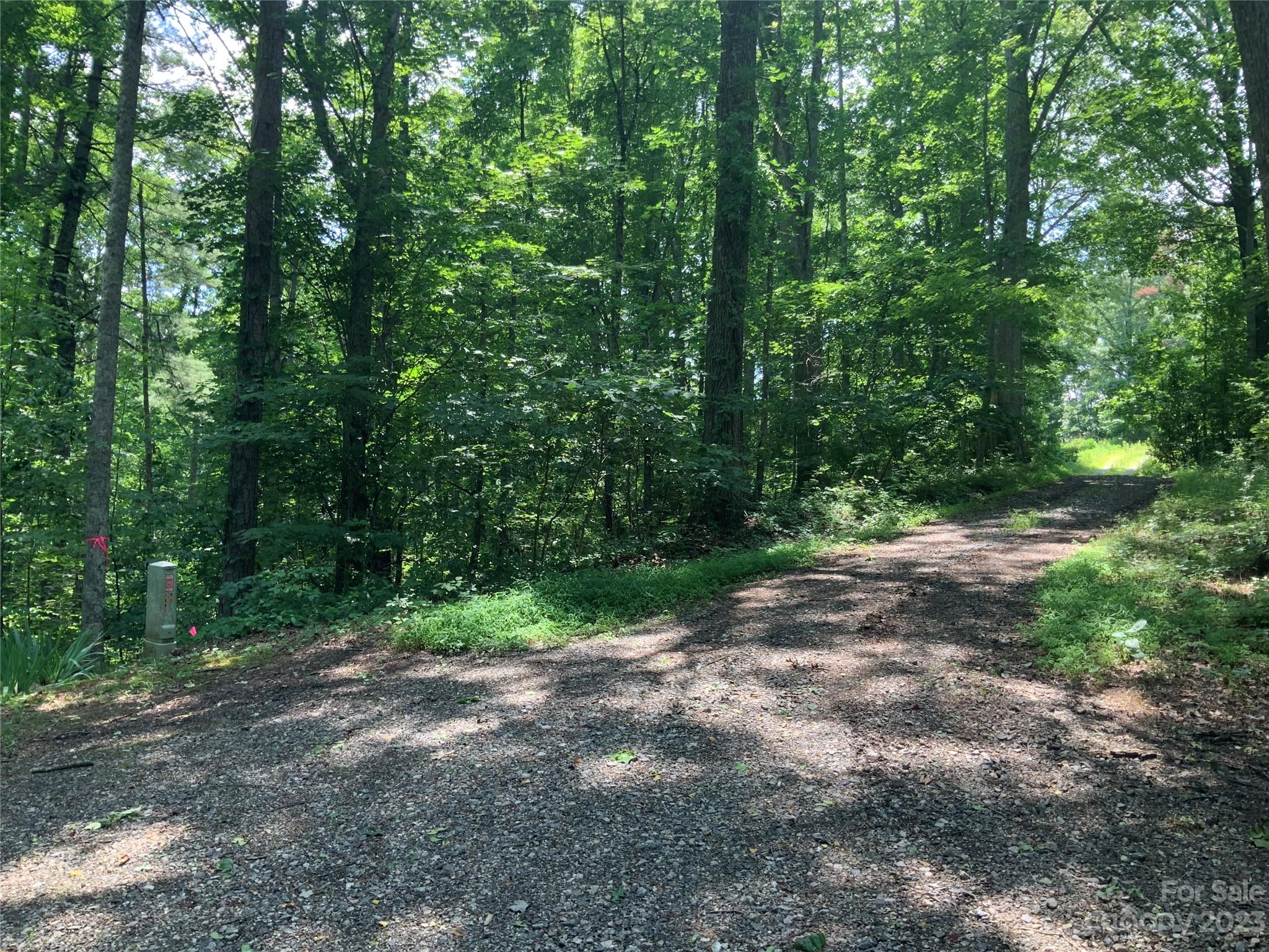 95 Winding Ridge Road, Unit 19 Marshall, NC 28753 - Photo 2 of 10 a view of a forest with trees in the background