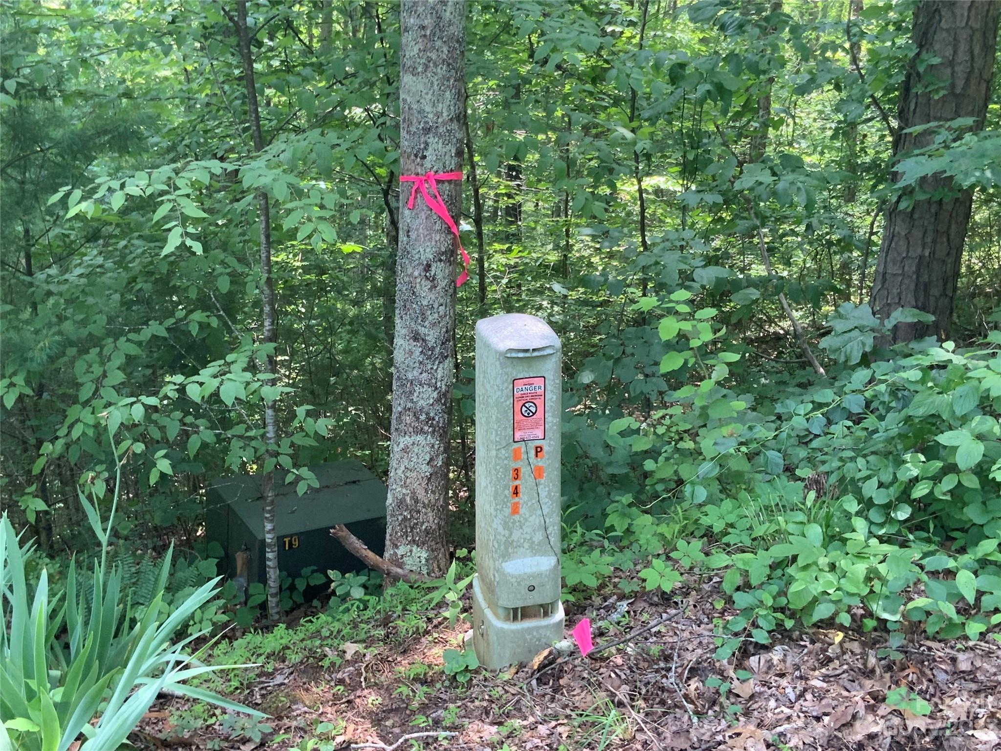 95 Winding Ridge Road, Unit 19 Marshall, NC 28753 - Photo 4 of 10 a flag is sitting in the middle of garden