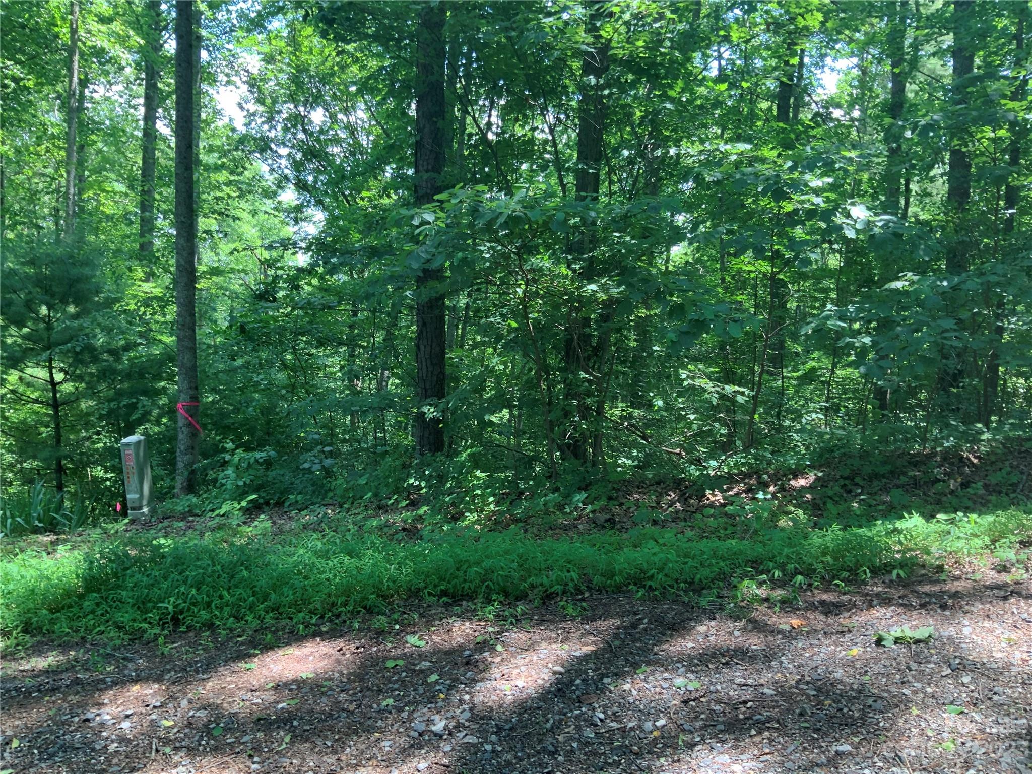 95 Winding Ridge Road, Unit 19 Marshall, NC 28753 - Photo 5 of 10 a view of a forest with trees in the background