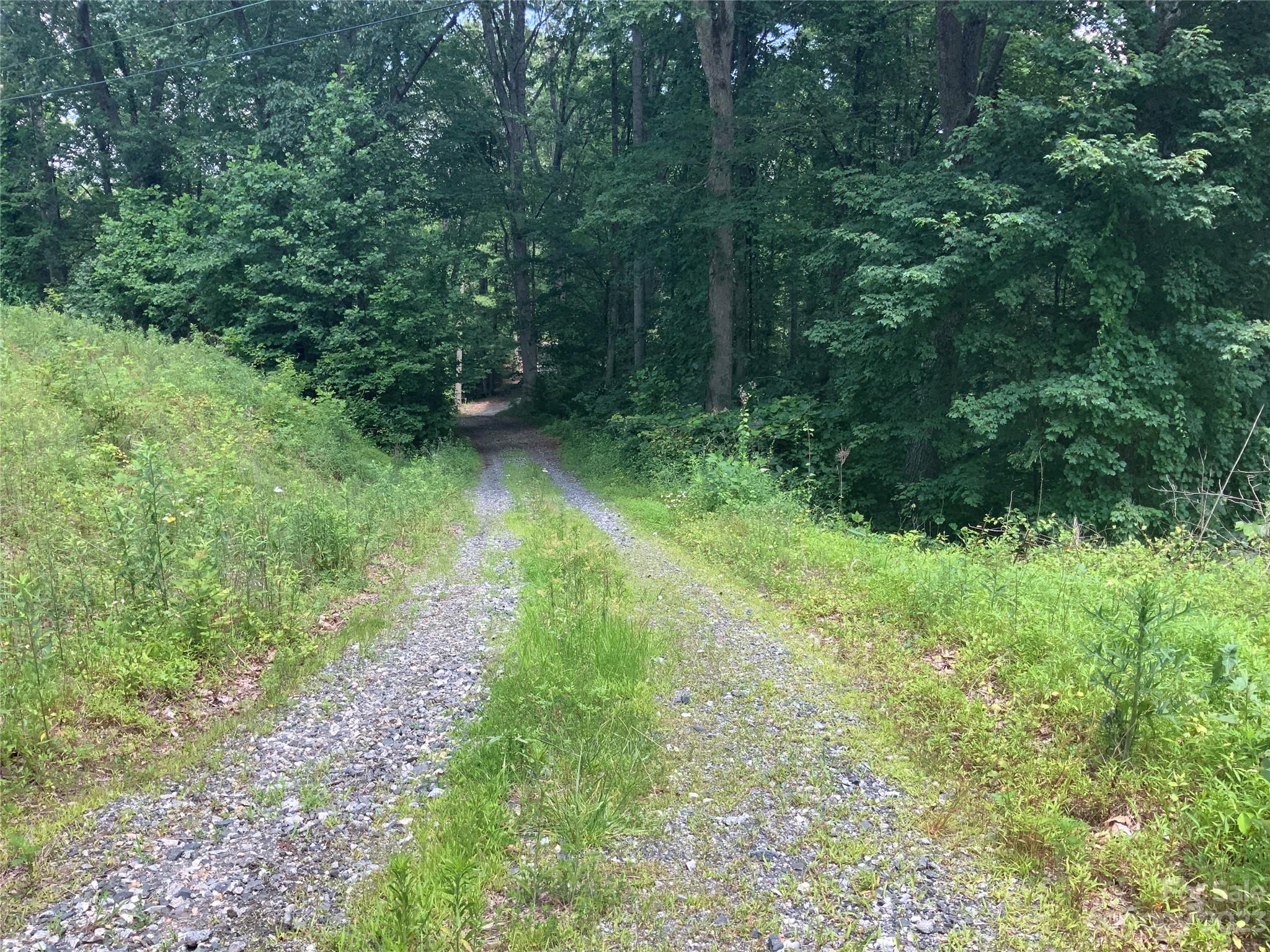 95 Winding Ridge Road, Unit 19 Marshall, NC 28753 - Photo 8 of 10 a big yard with lots of green space and deers