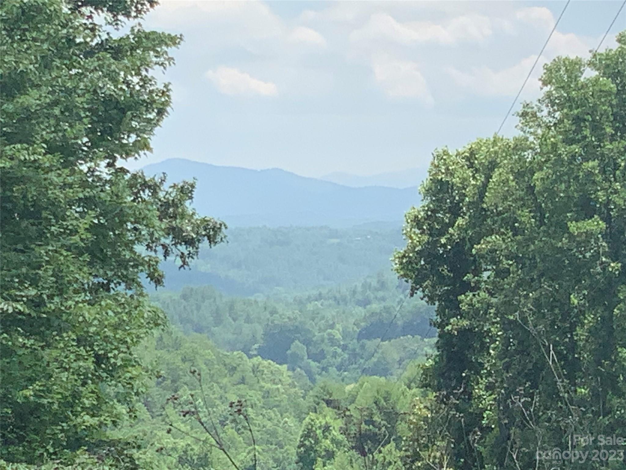 95 Winding Ridge Road, Unit 19 Marshall, NC 28753 - Photo 10 of 10 a view of a field of grass and trees