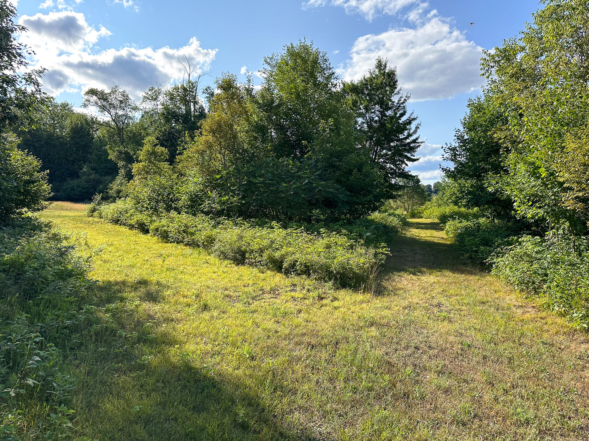 17219 7 Mile Road Reed City, MI 49677 - Photo 41 of 68 Split Trl
