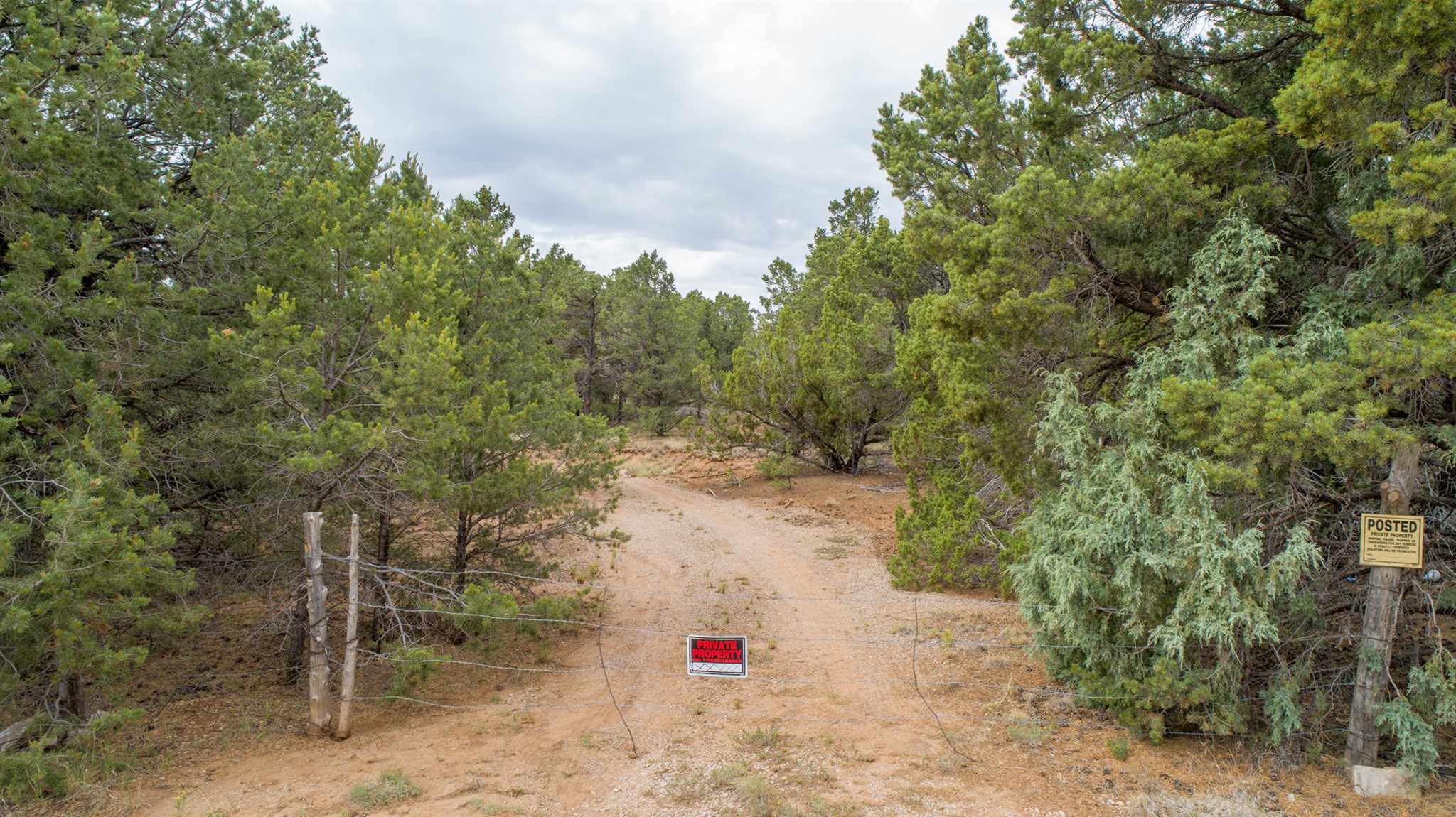 83 Pecos Barillas Road Pecos, NM 87552 - Photo 11 of 54 Gallery Image 11
