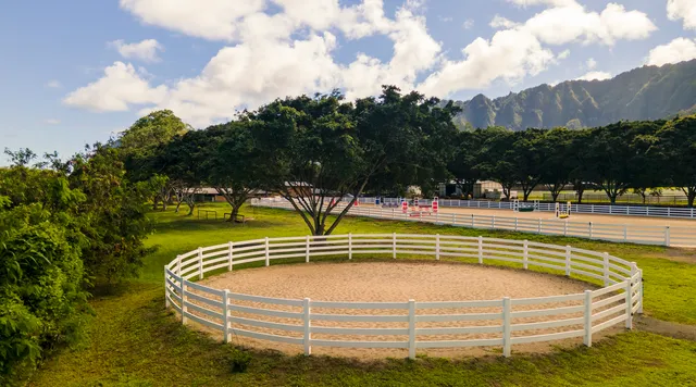 a view of swimming pool with outdoor seating and trees in the background
