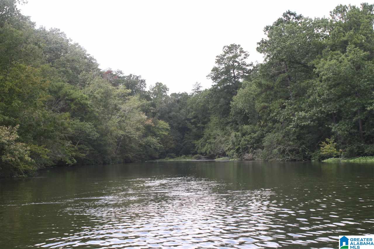 Franklin Ferry Road, Unit 17 Oakman, AL 35579 - Photo 3 of 22