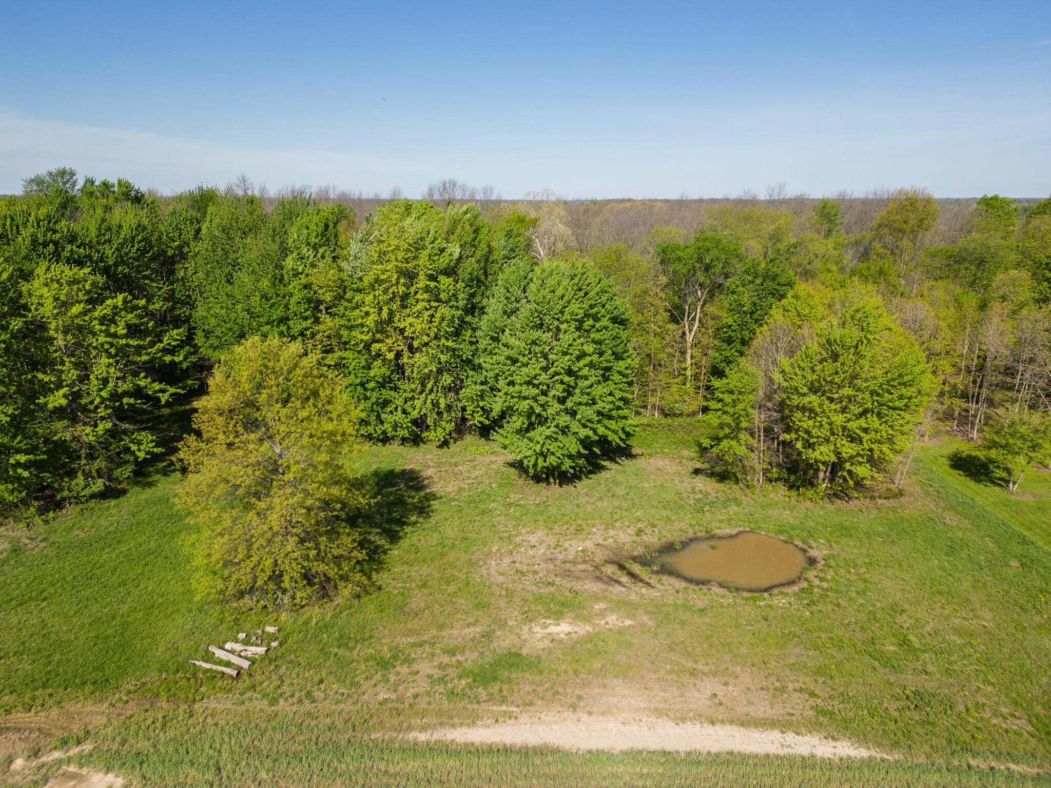 5387 Dildine Road Delaware, OH 43015 - Photo 27 of 37 46