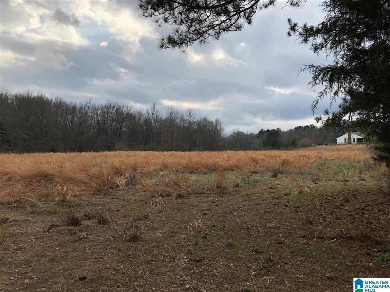 433 County Road 110 Randolph, AL 36792 - Photo 4 of 12
