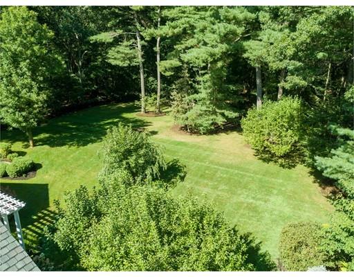 45 Pine Street Weston, MA 02493 - Photo 26 of 27 a view of a garden with plants