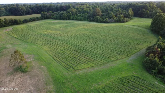 $2,900,000 | 5334 Ira Barker Road, Obion, TN 38240