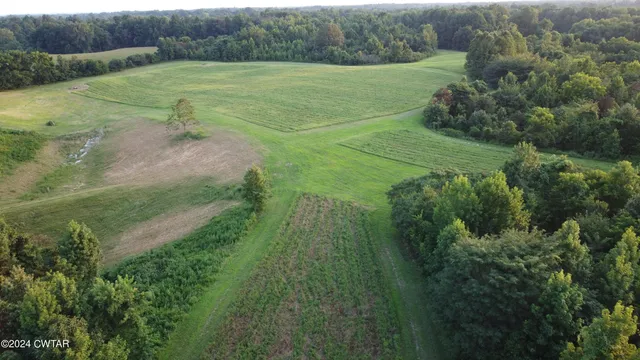 a view of a field with an trees