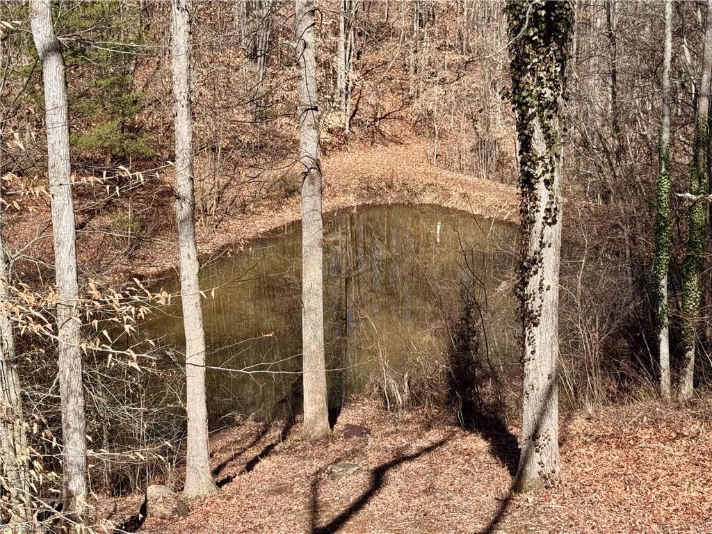4681 Rockford Road Dobson, NC 27017 - Photo 35 of 47