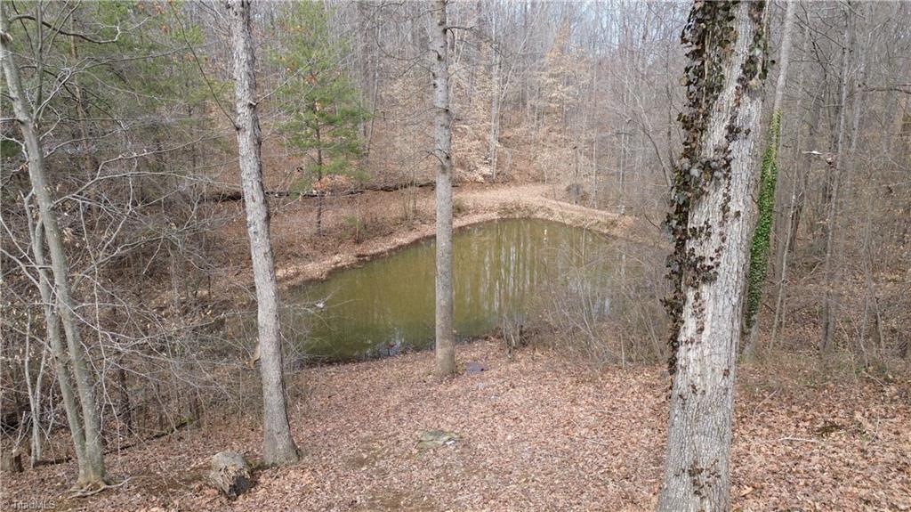 4681 Rockford Road Dobson, NC 27017 - Photo 37 of 47