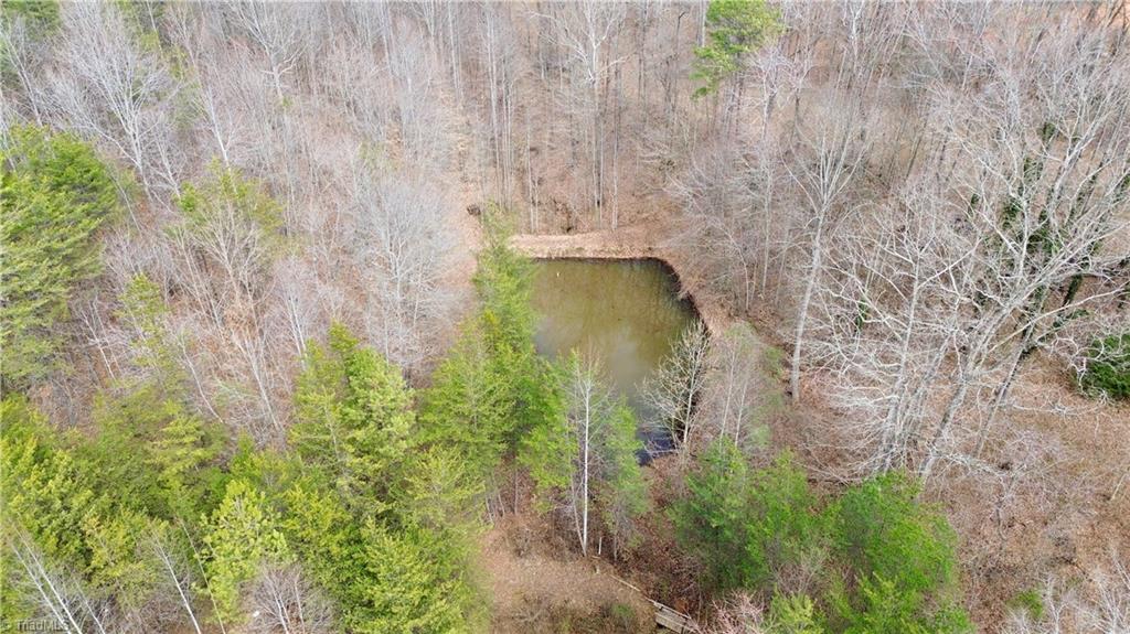 4681 Rockford Road Dobson, NC 27017 - Photo 39 of 47