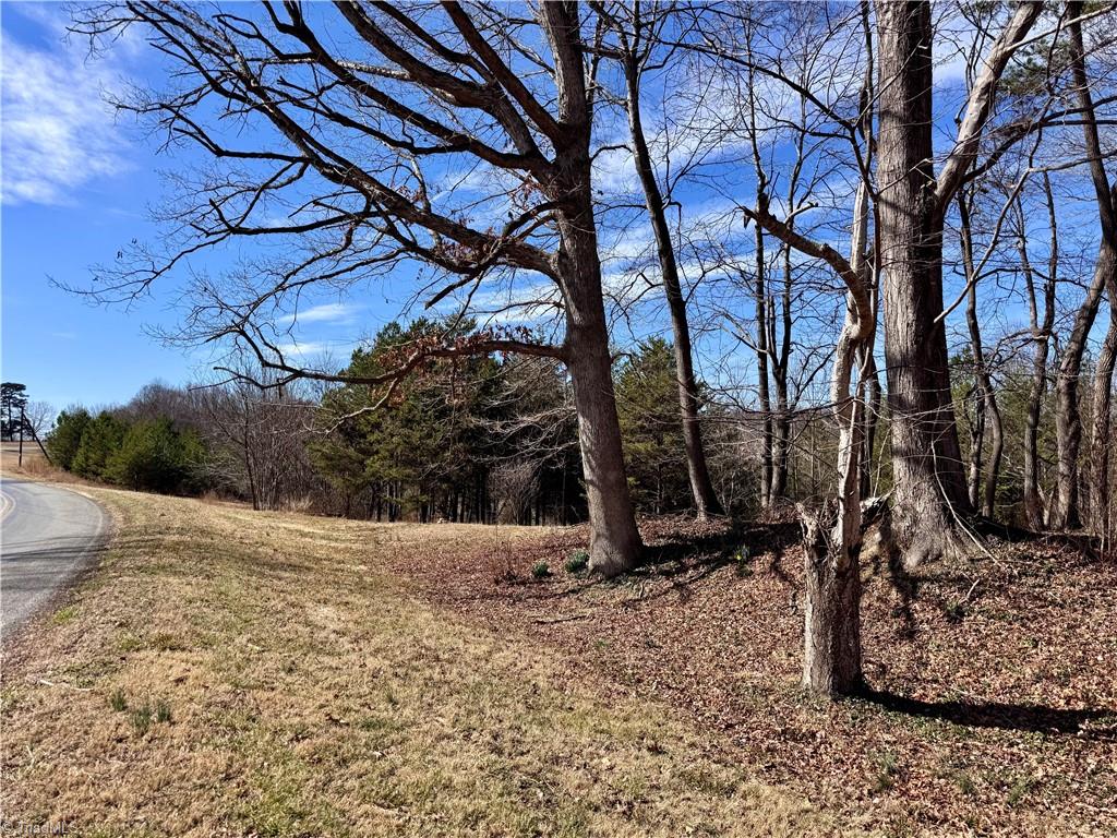 4681 Rockford Road Dobson, NC 27017 - Photo 8 of 47