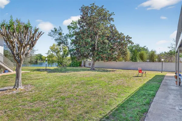 a view of a backyard with large trees