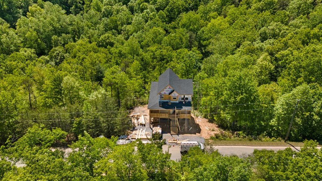 1633 Pinestand Rdg Way Sevierville, TN 37862 - Photo 6 of 33 Gallery Image 6