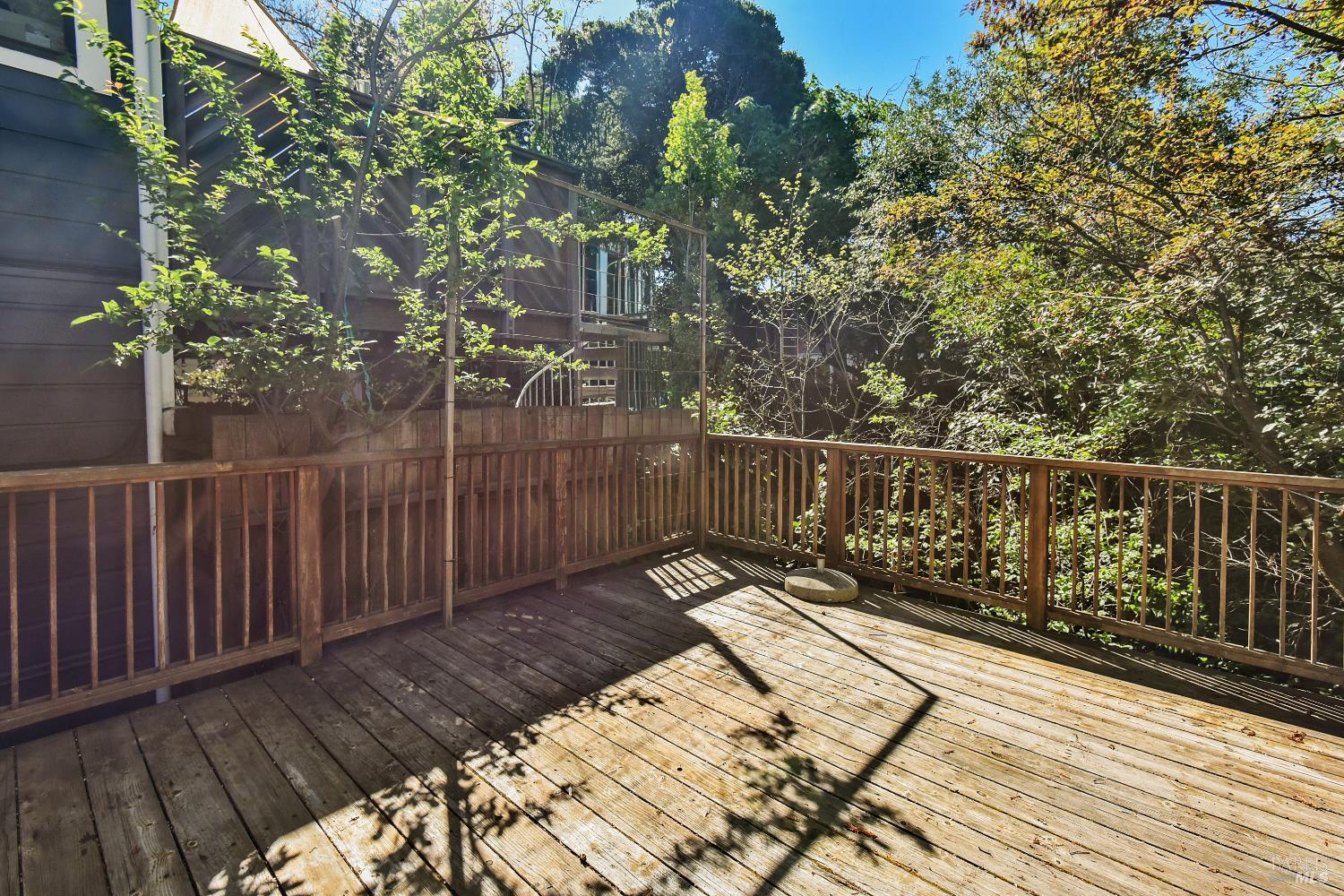 39 Latham Street San Rafael, CA 94901 - Photo 35 of 38