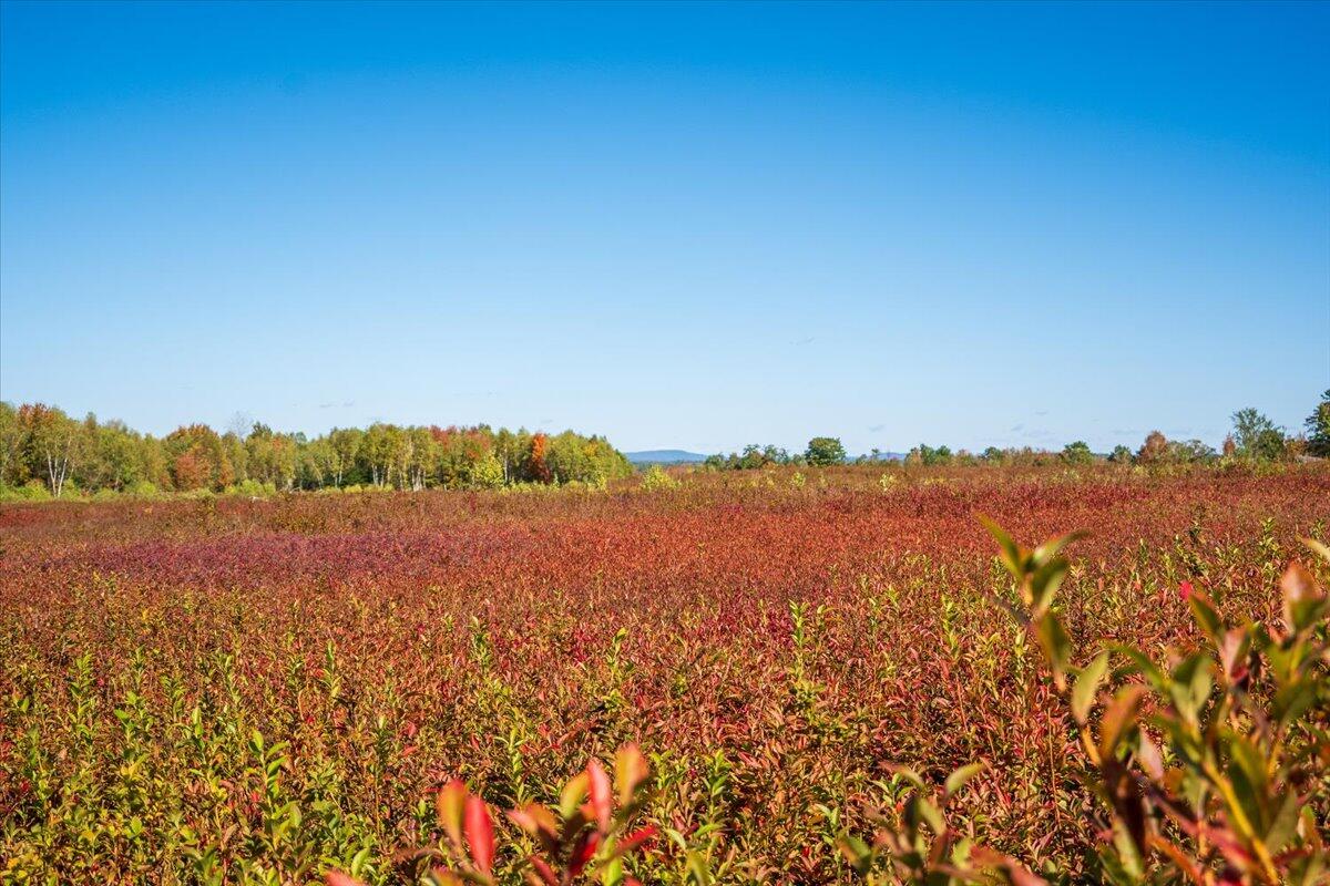 14 Map Road Union, ME 04862 - Photo 23 of 26 44-Shep Hill-44
