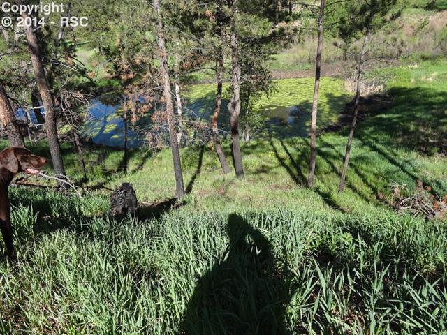 6150 Shoup Road Colorado Springs, CO 80908 - Photo 2 of 25