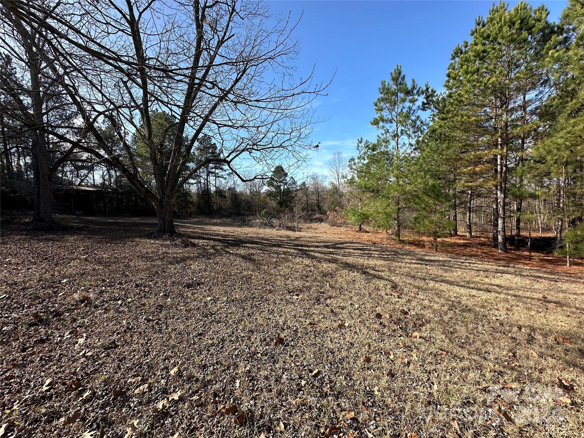 11298 Highway 265 Jefferson, SC 29718 - Photo 5 of 22 a view of outdoor space with trees