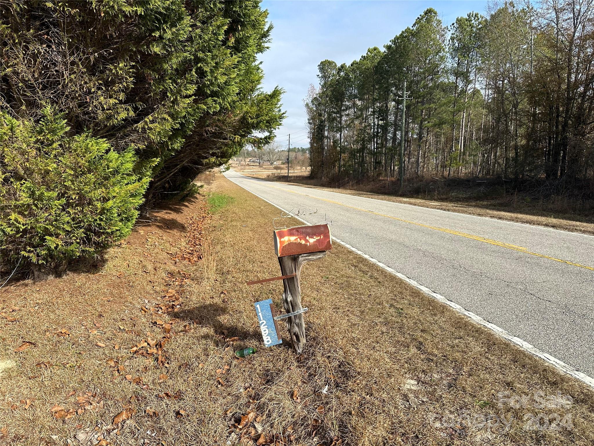 11298 Highway 265 Jefferson, SC 29718 - Photo 9 of 22 a view of a yard with plants and trees