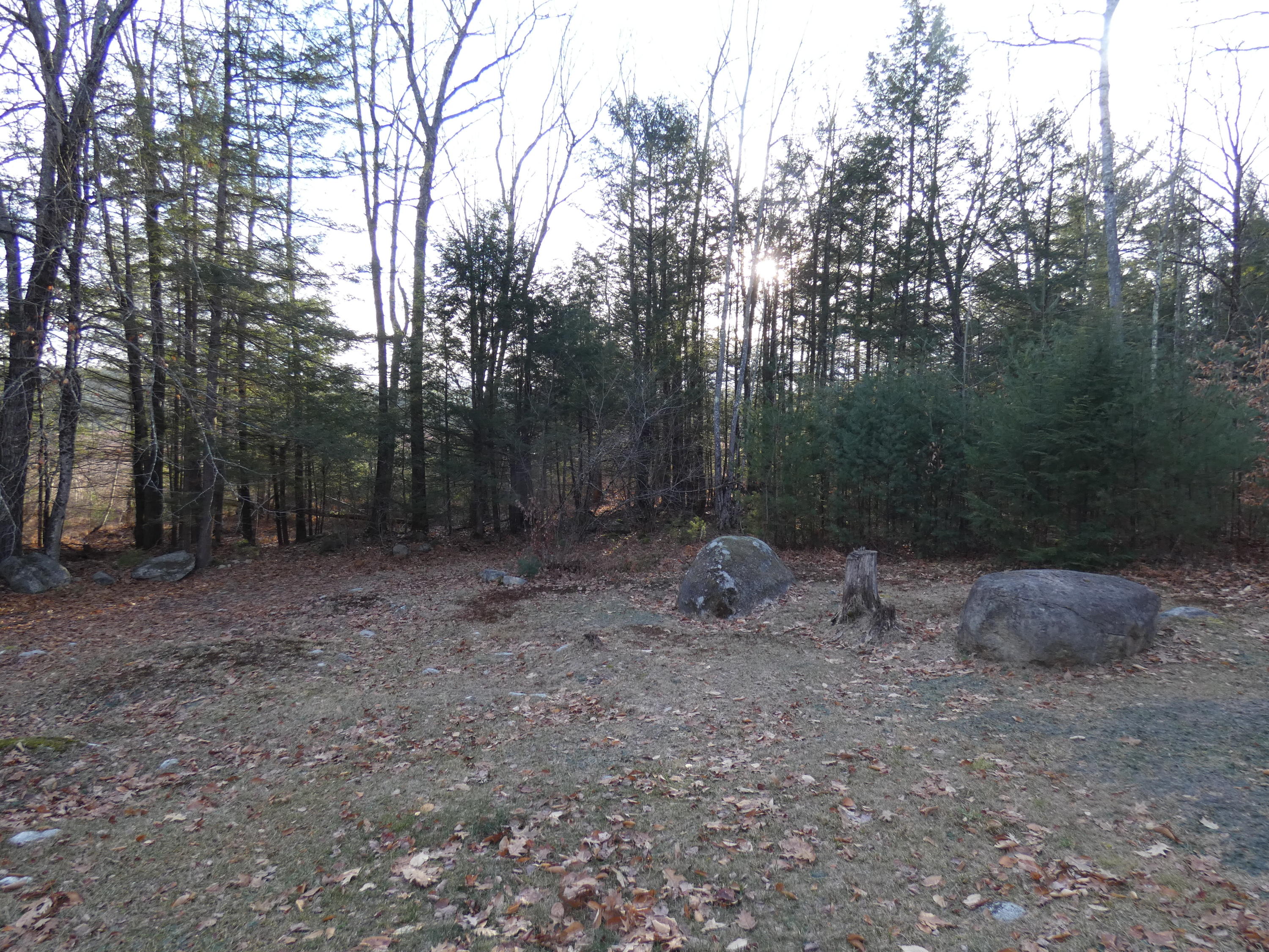 627 Harrison Road Naples, ME 04055 - Photo 10 of 36 Yard (2)