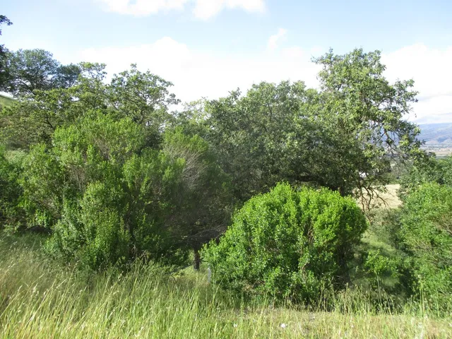 a backyard of a house