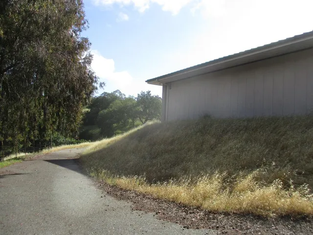 a backyard of a house with large trees
