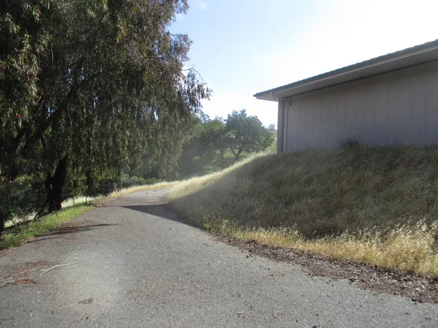 a view of a yard with a tree
