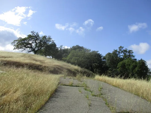 a view of a yard with mountain