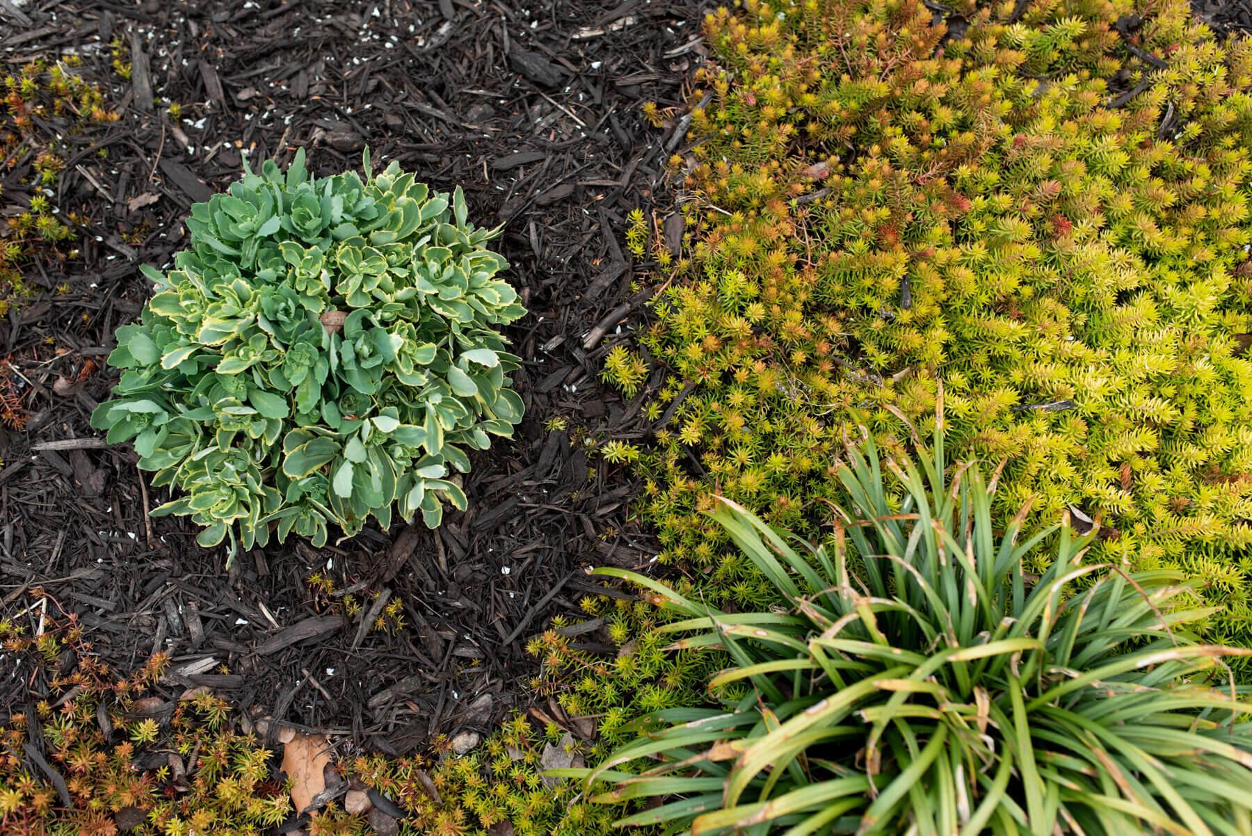 2813 Bryden Road Columbus, OH 43209 - Photo 89 of 92 DSC_5316