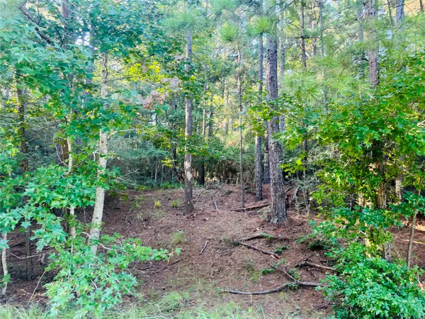 $349,500 | Tbd Willow Creek, Huntsville, TX 77340