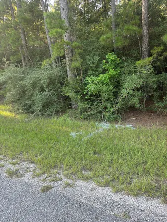 $349,500 | Tbd Willow Creek, Huntsville, TX 77340