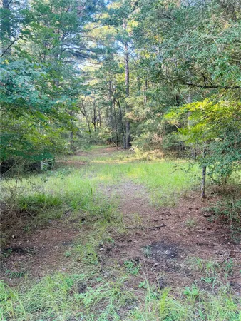 $349,500 | Tbd Willow Creek, Huntsville, TX 77340