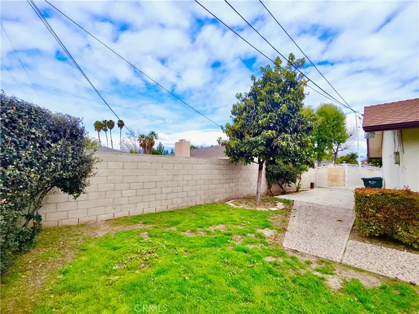 a view of a yard with plants and a bench