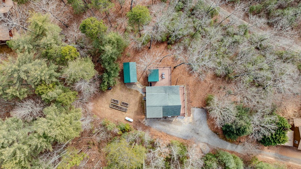 116 Grapevine Ridge Murphy, NC 28906 - Photo 17 of 21