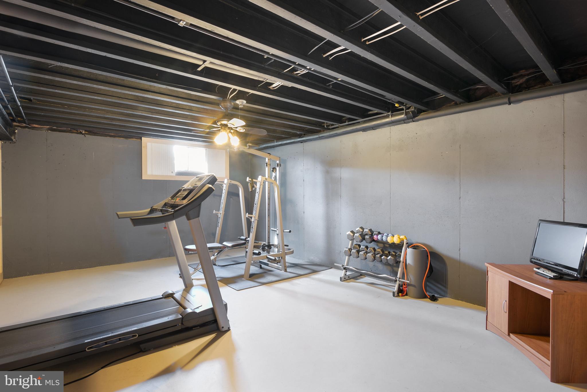 21 Trent Road Elkton, MD 21921 - Photo 27 of 37 Lower level enclosed room, workout?