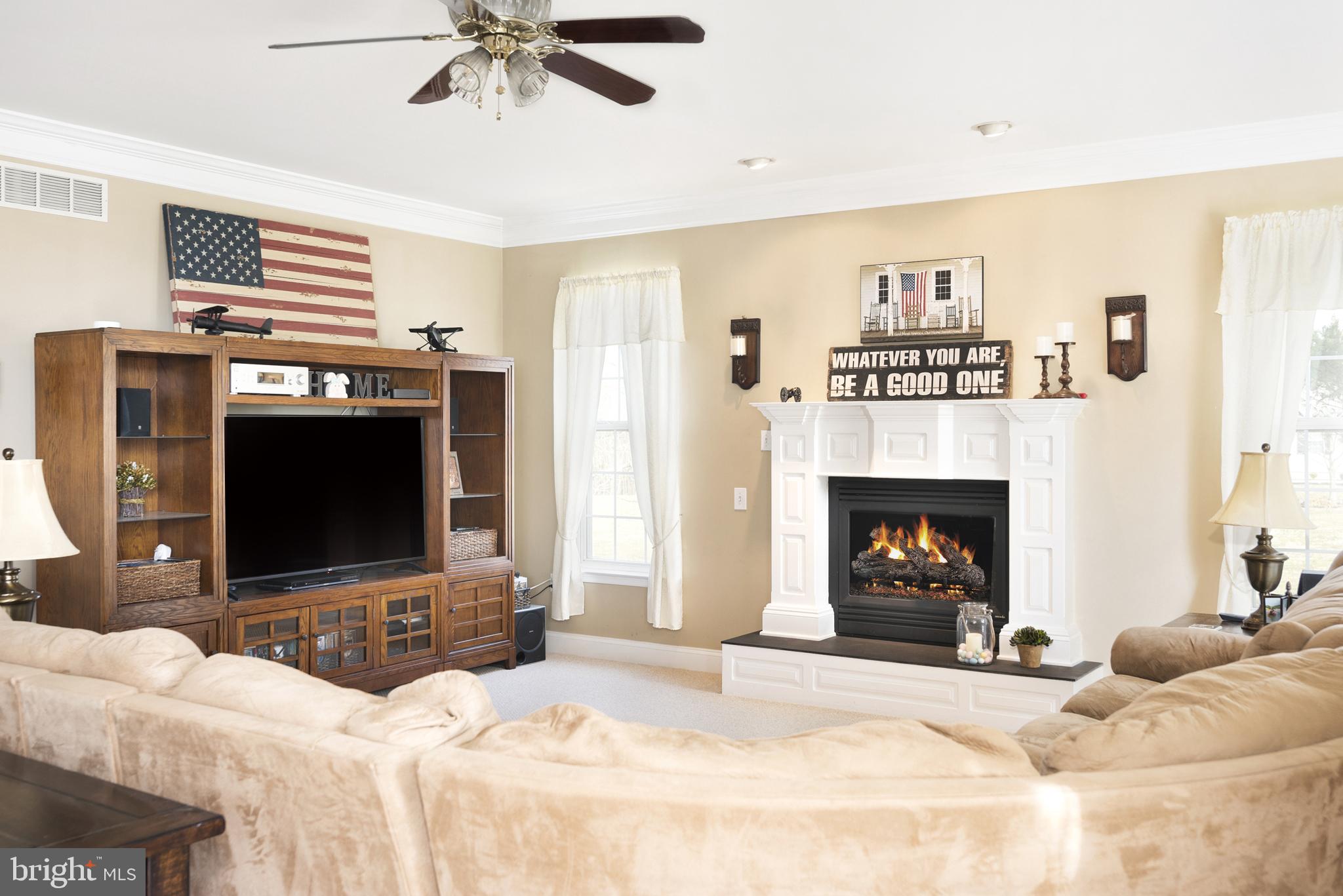 21 Trent Road Elkton, MD 21921 - Photo 8 of 37 Propane fireplace