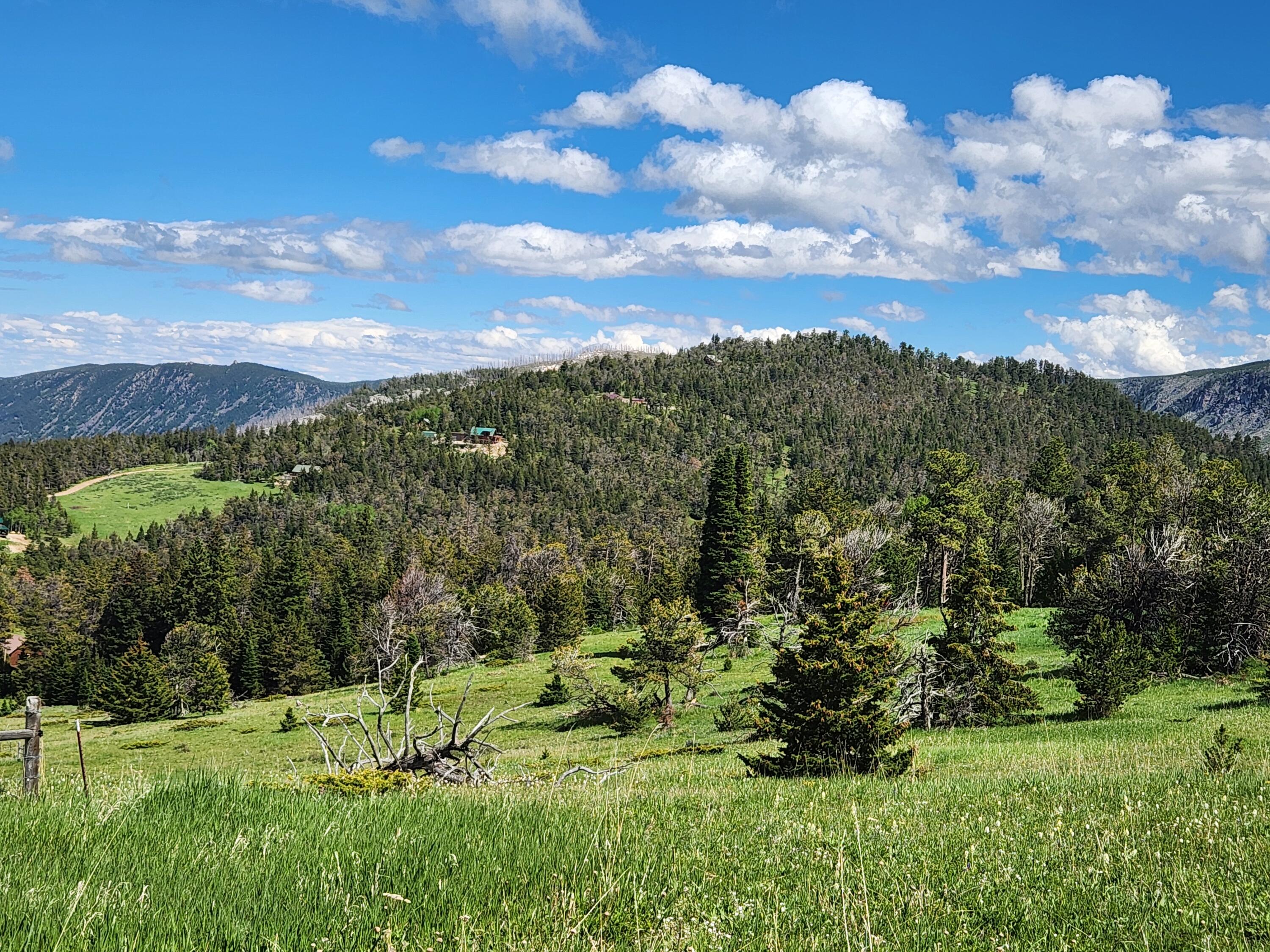 12 Blacktooth Road Big Horn, WY 82833 - Photo 16 of 25 Lot View