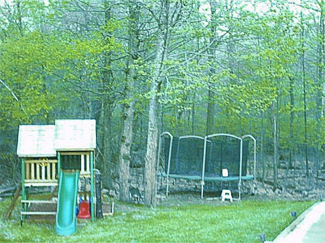 102 Ravenhill Road Tamiment, PA 18371 - Photo 8 of 8 large yard