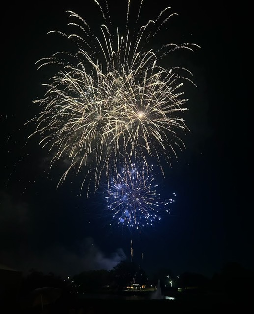 14058 South Hemingway Circle Plainfield, IL 60544 - Photo 22 of 23 a picture of a tree