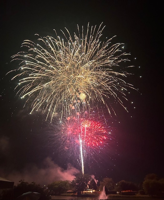 14058 South Hemingway Circle Plainfield, IL 60544 - Photo 23 of 23 a view of outdoor space and yard