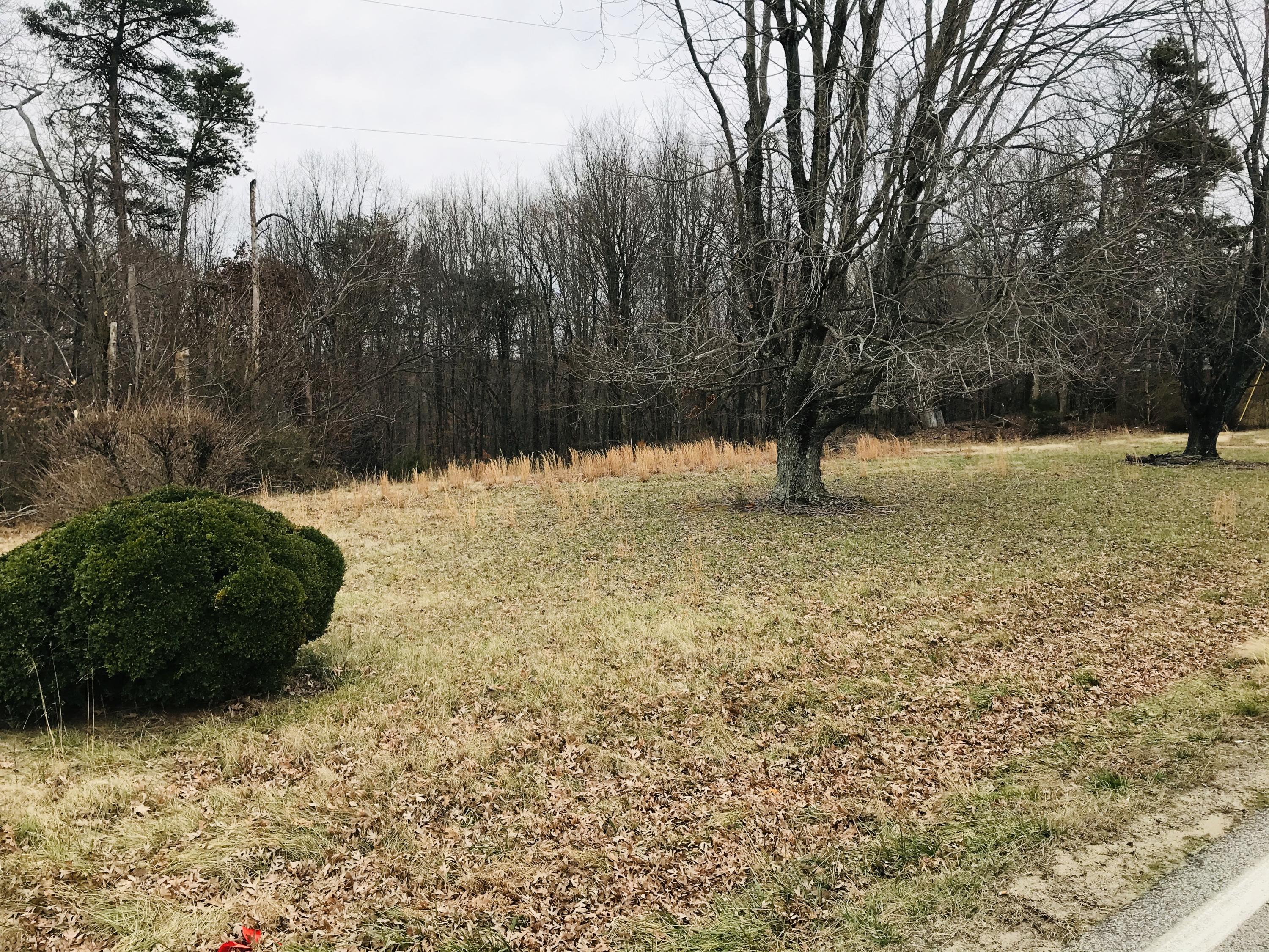 3298 Sago Road Callands, VA 24530 - Photo 13 of 15 a view of back yard