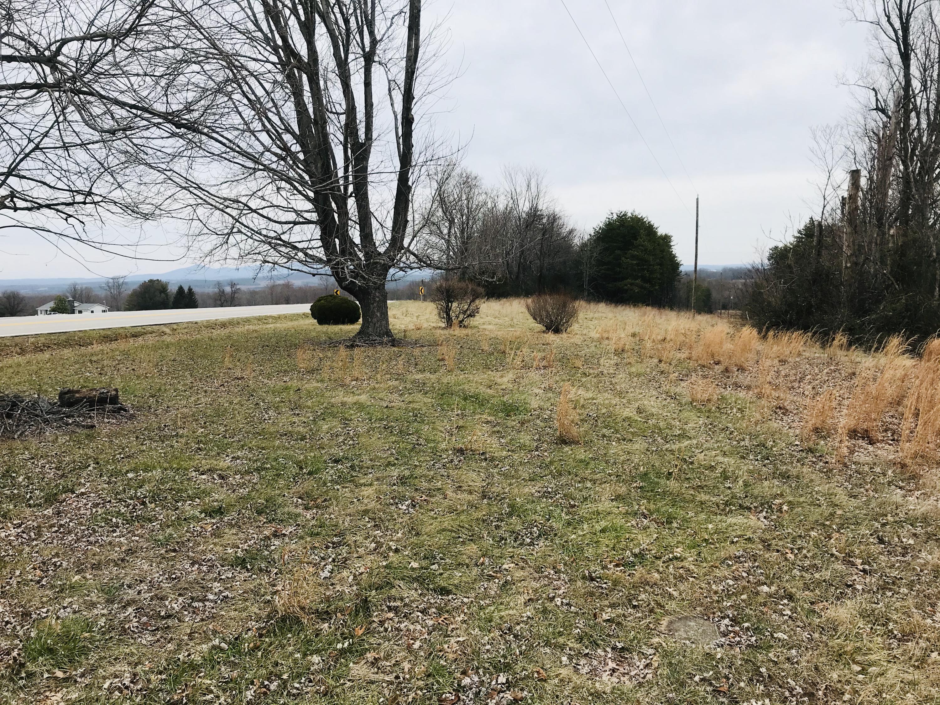 3298 Sago Road Callands, VA 24530 - Photo 14 of 15 a large yard with lots of trees