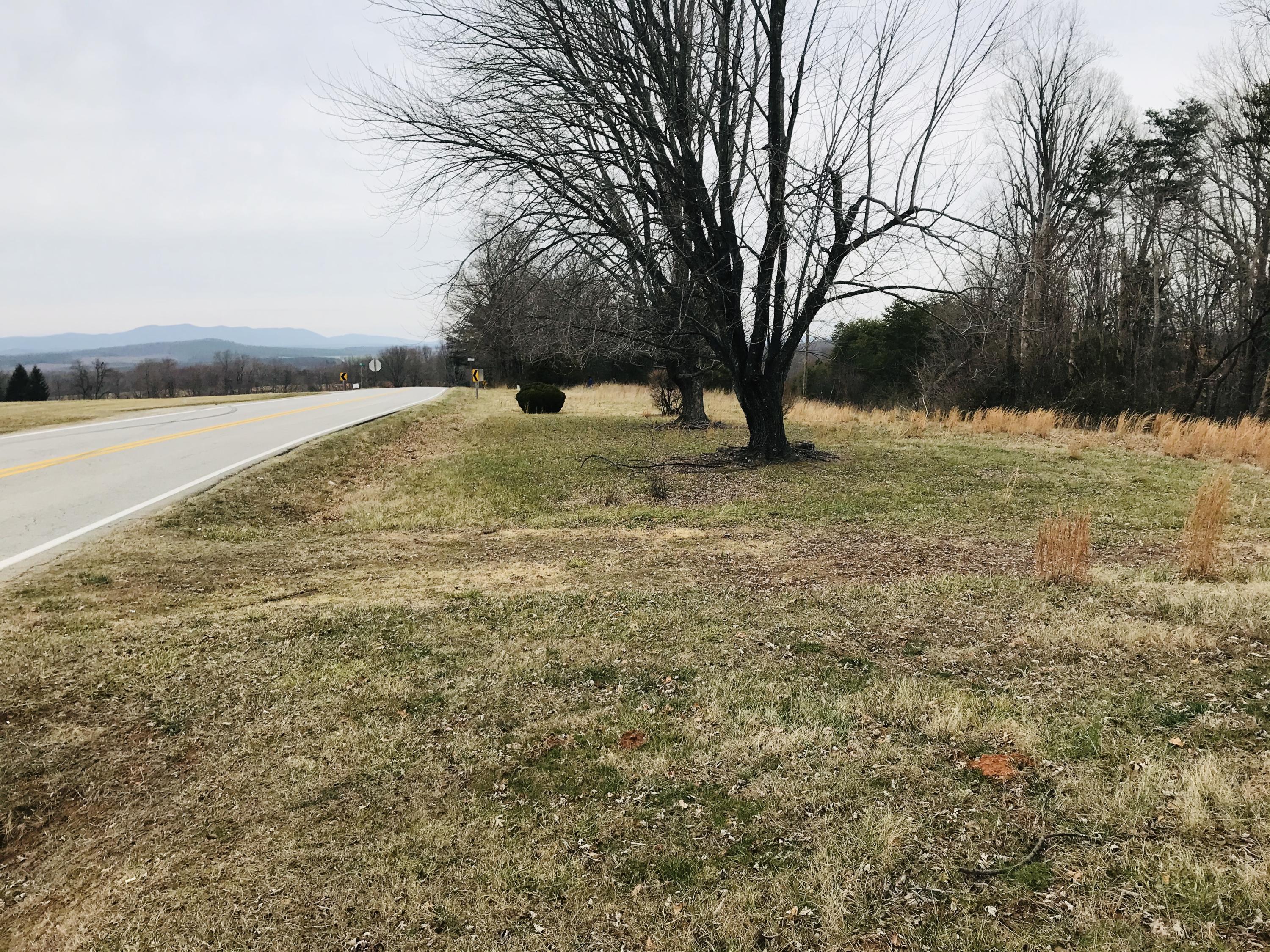 3298 Sago Road Callands, VA 24530 - Photo 9 of 15 a view of yard with trees
